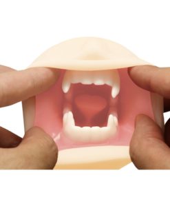 鬼滅之刃-淫之呼吸！龜滅的八重齒-亀滅の八重歯-動漫飛機杯-product-image-new-5