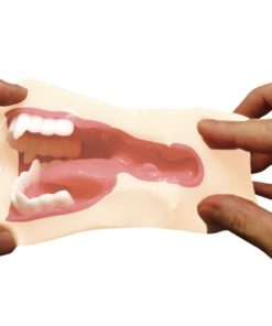 鬼滅之刃-淫之呼吸！龜滅的八重齒-亀滅の八重歯-動漫飛機杯-product-image-new-7