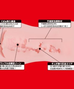 EXE-Japanese-Real-Hole-淫-安齋拉拉-名器-product-image-2