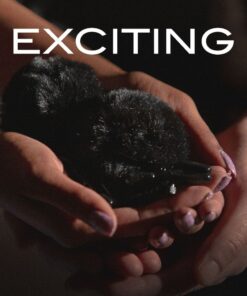 NOIR-可調較式毛毛乳頭夾-product-image-6