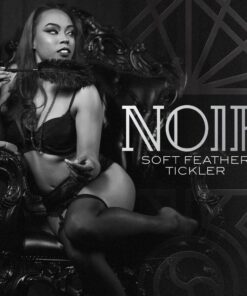 NOIR-挑逗羽毛棒-product-image-1