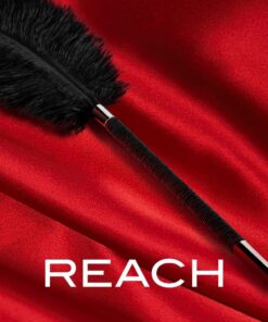 NOIR-挑逗羽毛棒-product-image-7