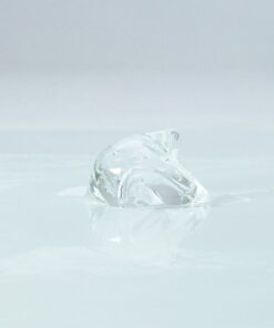 日本SSI-女士凝膠-product-image-1